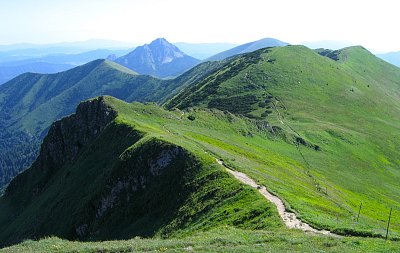 Jak jsme na Malé Fatře sbírali jedovaté borůvky
