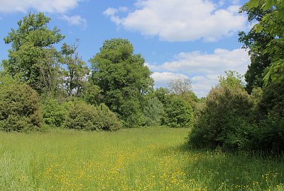 Námět pro malíře