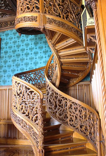 Schody z jednoho stromu