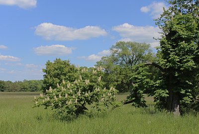 Jdeme na Janův hrad