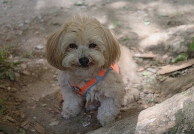 Eliška je šťastná