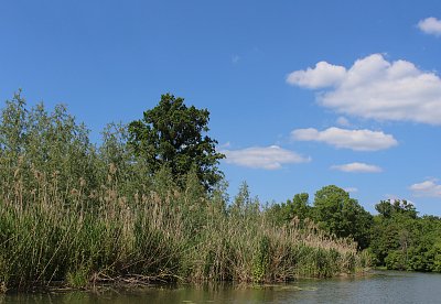 Už plujeme krásnou přírodou po Staré, neboli, Černé Dyji