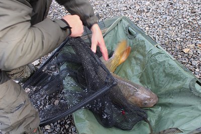 Byl to pěkný macek