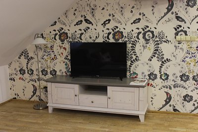 Pustíme si televizi