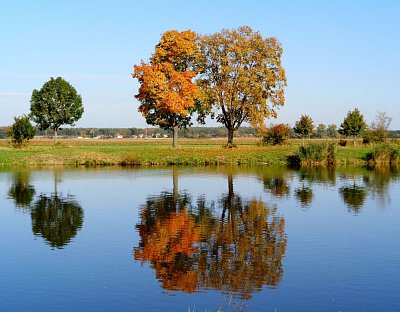 Podzimní nálada u Labe