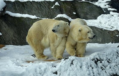 Sníh a mráz těší nás