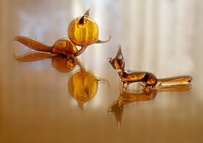 Domácí lišky od Elišky ...