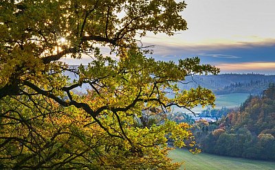 Listopad_Šárka Nováková.jpg