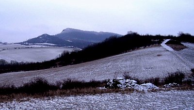 Cestou na Bílé stráně *