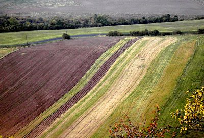 Podzim pod Bílou strání. *