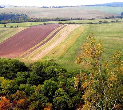 Bílé stráně, přírodní památka, Litoměřice