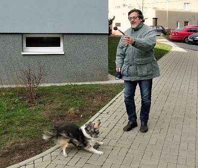 Venčení Britney v Litoměřicích