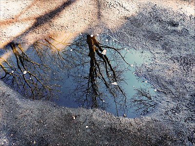 Zrcátko ve skalách brzy zamrzne *
