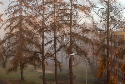 Když se slunce potká s mlhou ...