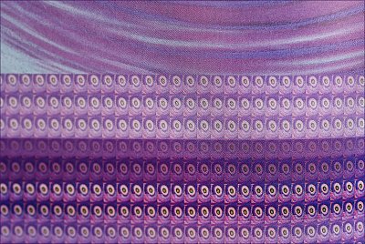 V odstínech fialové ...