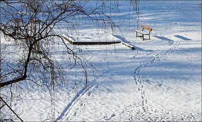 Dojdu tam, kam kráčím*