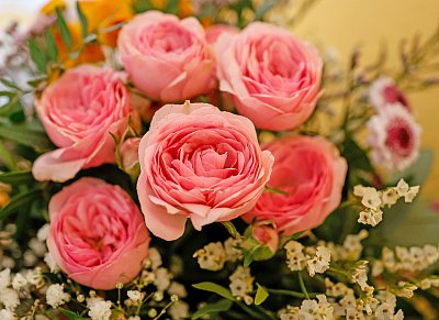 Ona a pět sester ...