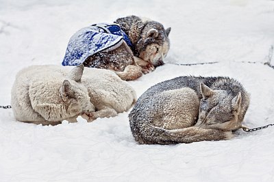 Konec závodu - zasloužilý odpočinek
