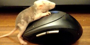 Miluj bližního svého