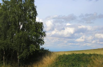 Tyto plují nad Vysočinou