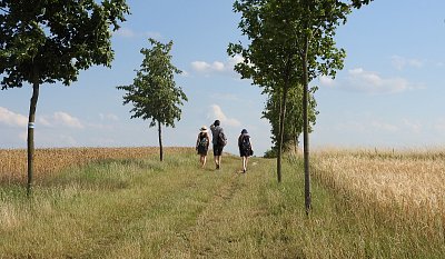 Mám ráda cestu letní (2)