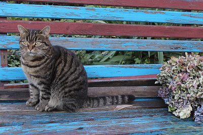 Baron Antonín von Měchura