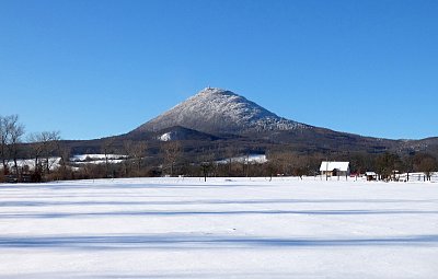 Královna Českého středohoří v bílém *