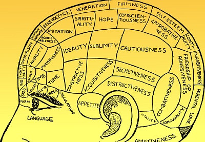 Zábava i trénink mozku v jednom