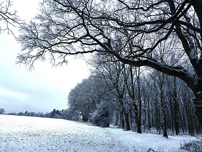 Není to tu špatný *