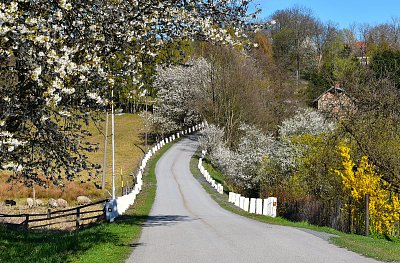 Nezdín kraj Vysočina