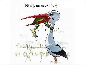 Nikdy se nevzdávej
