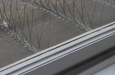 Nemá šanci, na parapetu jsou hřebíky