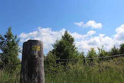 Cestou k pramenu Odry