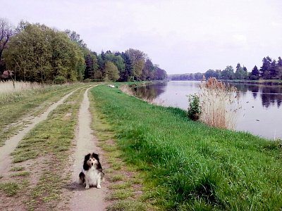 Moje malá kamarádka Britney *