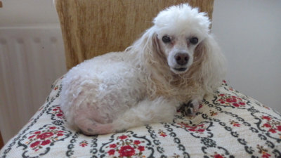 Tak co bude, odpočívám