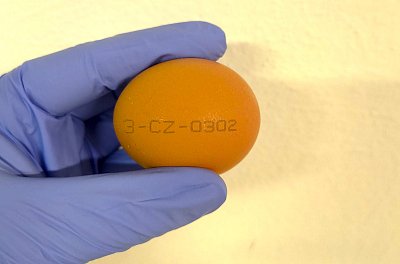 Zkontrolujte si vejce ve vaší lednici. Mohou být zdravotně závadná