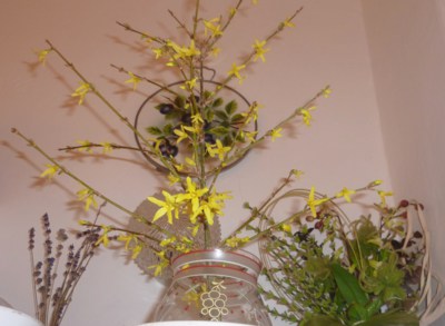 Rozkvetla mi barborka