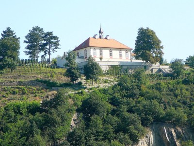 Vinice sv. Kláry v Troji