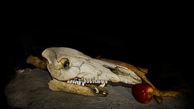 Uvařeno a taky snědeno....