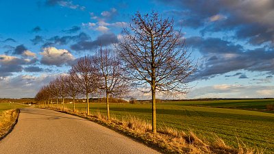 Cestou k letišti....