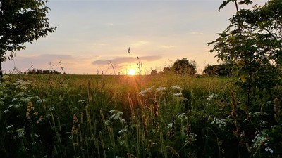 Známe všechny vítěze fotosoutěže Obrázky léta!