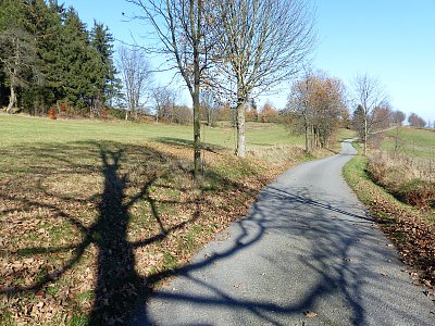 Podzimní siluety...