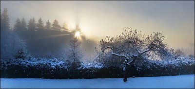 Zimní paprsky - ještě nezahřejí