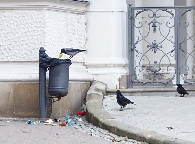 Nedělejte nám před Mahenovým divadlem binec !!!