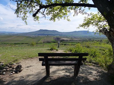 S výhledem na Pálavu...