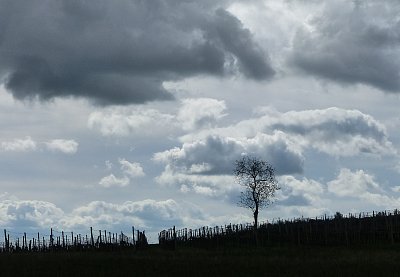 Nemrač se, obloho...