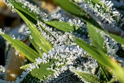 Božíhodové ozdobičky