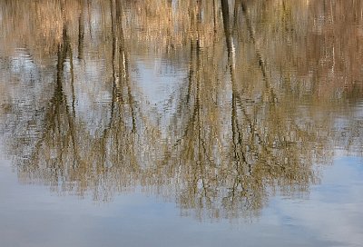 Únorové labské chvění