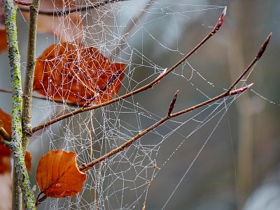 Práce pavoučka s ADHD....