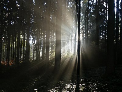 Z cesty za sluníčkem II